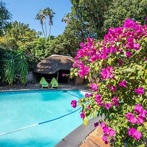 Palm Tree Manor
